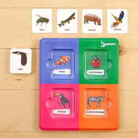 Сортер «Изучаем животный мир» с карточками Домана, в пакете