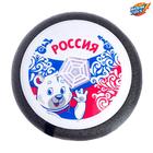 Аэромяч «Чемпион», работает от батареек, в пакете - фото 24439100