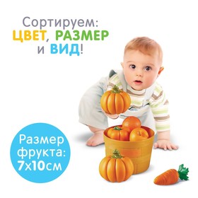 

Набор для сортировки «Разноцветный урожай», по методике Монтессори, уценка (помята упаковка)