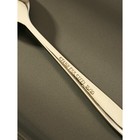 Ложка кофейная Magistro «Эми», длина 12.5 см, нержавеющая сталь, серебристая - Фото 6