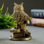 Фигурка гипс «Филин на книгах», состаренное золото, 11×7×7 см - Фото 4