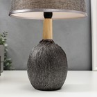 Лампа настольная 16388/1 E14 40Вт серебро 22х22х37 см RISALUX - фото 21235219