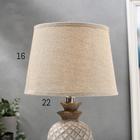 Лампа настольная 16307/1 E14 40Вт серый 22х22х37 см RISALUX - фото 21235255