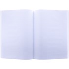 Книга учёта А4, 60 листов, в клетку, «Герб», обложка мелованный картон, офсет - Фото 2