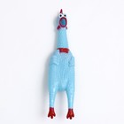 Игрушка пищащая "Задумчивая курица" для собак, 28 см, голубая - фото 6400892
