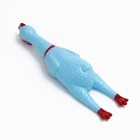 Игрушка пищащая "Задумчивая курица" для собак, 28 см, голубая - фото 6400893