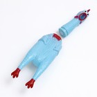 Игрушка пищащая "Задумчивая курица" для собак, 28 см, голубая - фото 6400894