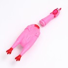 Игрушка пищащая "Задумчивая курица" для собак, 28 см, розовая - Фото 4