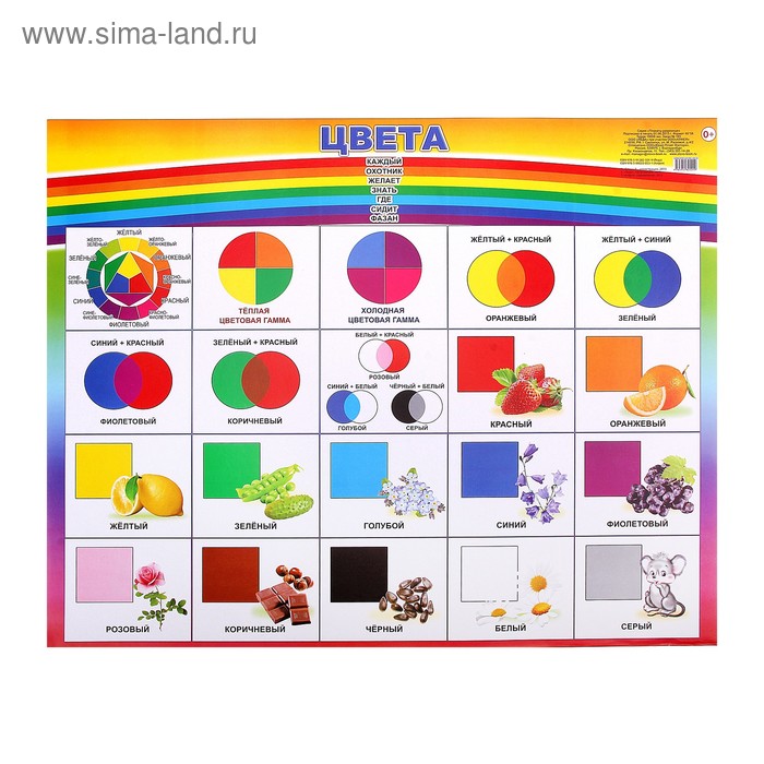 Плакат «Цвета» - Фото 1