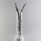 Ваза «Иберетта-1», 4.65 л, 50×12 см, стекло, прозрачная - Фото 2