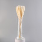 Ваза «Иберетта-400», 3.8 л, h=40 см, d=11.5 см, стекло, прозрачная - Фото 2