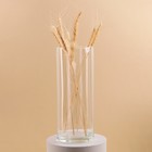 Ваза «Иберетта-300», 2.8 л, 30×12 см, стекло, прозрачная - Фото 2