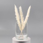 Ваза «Трубка», 1.1 л, 15×10.7 см, стекло, прозрачная - Фото 2