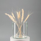 Ваза «Трубка», 2 л, 15×14.6 см, стекло, прозрачная - Фото 2