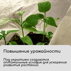 Материал укрывной, 20 × 3.2 м, плотность 20 г/м², с УФ-стабилизатором, белый, Greengo, Эконом 20% - Фото 3