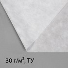 Материал укрывной, 20 × 3.2 м, плотность 30 г/м², спанбонд с УФ-стабилизатором, белый, Greengo, Эконом 30% - Фото 6