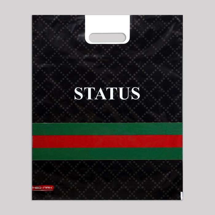 

Пакет "Статус клетка", полиэтиленовый с вырубной ручкой, 30 мкм , 37 х 46 см