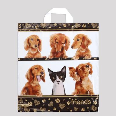 Пакет «Верные друзья», полиэтиленовый с петлевой ручкой, 38×40 см, 40 мкм