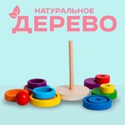 Пирамидка логическая «Сказка», высота 15 см - Фото 2