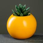 Кашпо "Апельсин" 11х9см, МИКС - Фото 1