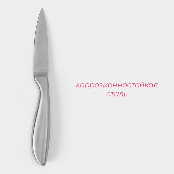 Нож для овощей кухонный Доляна Salomon, длина лезвия 9,5 см, цвет серебристый - фото 1908671971