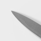 Нож для овощей кухонный Доляна Salomon, длина лезвия 9,5 см, цвет серебристый - фото 4322851