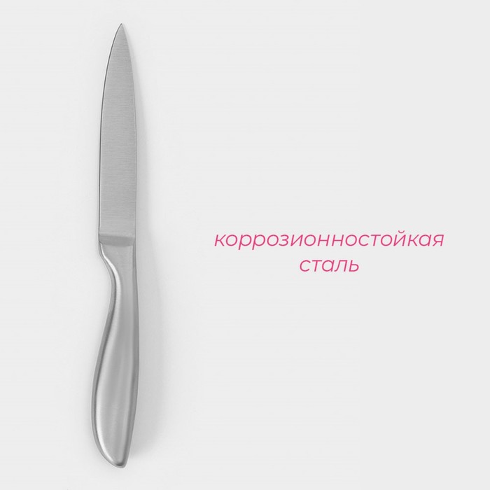 Нож кухонный универсальный Доляна Salomon, длина лезвия 12,5 см - фото 1892523376