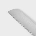 Нож для хлеба Доляна Salomon, длина лезвия 20 см, цвет серебристый - Фото 3