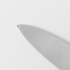 Нож - шеф Доляна Salomon, длина лезвия 20 см, цвет серебристый - Фото 3
