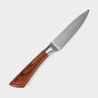 Нож для овощей кухонный Доляна Forest, лезвие 9,5 см, цвет коричневый - фото 5906816