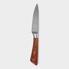 Нож для овощей кухонный Доляна Forest, лезвие 9,5 см, цвет коричневый - фото 4322867
