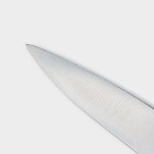 Нож универсальный Доляна Forest, лезвие 12,5 см, цвет коричневый - фото 4322872