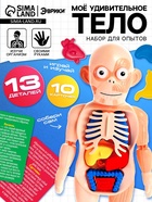 Набор для опытов «Мое удивительное тело» - Фото 1