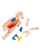 Набор для опытов «Мое удивительное тело» - Фото 6