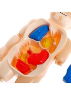 Набор для опытов «Мое удивительное тело» - Фото 7