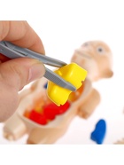 Набор для опытов «Мое удивительное тело» - Фото 8