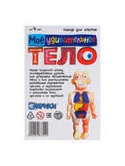 Набор для опытов «Мое удивительное тело» - Фото 10