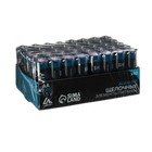 Батарейка алкалиновая (щелочная) Luazon, AA, LR6, набор 40 шт - фото 6401561