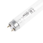 Лампа ультрафиолетовая бактерицидная Luazon Lighting, G13, 15Вт, без озона, 253.7нм, 437.4мм - Фото 2