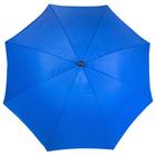Зонт Green Glade 1191, цвет синий - Фото 3
