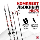 Комплект лыжный: пластиковые лыжи 200 см без насечек, стеклопластиковые палки 160 см, крепления NN75 мм, цвета МИКС - фото 317839976