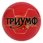 Мяч лакированный, диаметр 200 мм, цвета МИКС - Фото 3