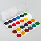 Акварель медовая «Эльза» Холодное сердце, 24 цвета, без кисти - Фото 2