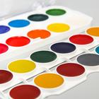 Акварель медовая «Эльза» Холодное сердце, 24 цвета, без кисти - Фото 3