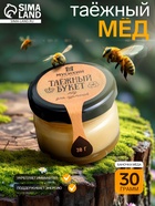 Мёд «Таёжный букет»,30 г - Фото 1