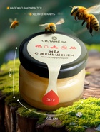 Мёд с женьшенем, 30 г - Фото 2