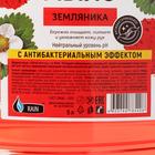 Мыло жидкое Rain Standart, антибактериальное, земляника, ПЭТ, 5 л 6831816 - фото 16073655