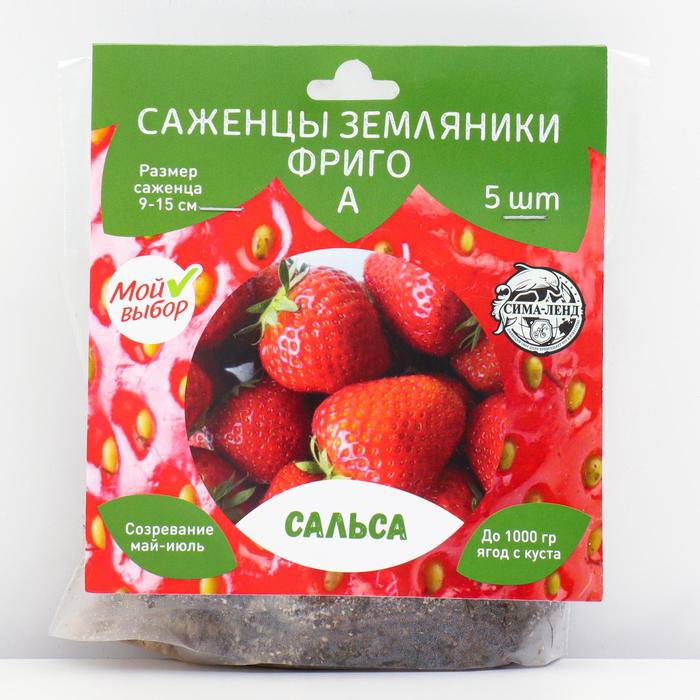 Саженец Земляники ФРИГО Сальса (Salsa) А (9-15 мм), 5 шт - Фото 1