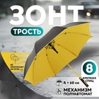 Зонт - трость полуавтоматический «Однотон», 8 спиц, R = 60 см, цвет МИКС - Фото 1