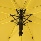 Зонт - трость полуавтоматический «Однотон», 8 спиц, R = 60 см, цвет МИКС - Фото 6